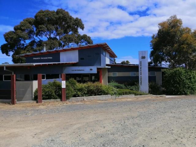 Swansea Backpacker Lodge * Swansea